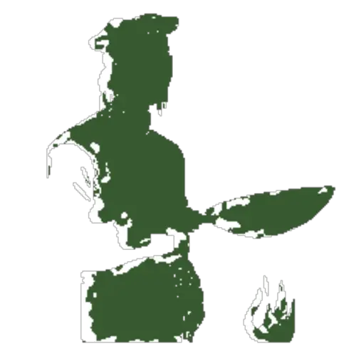 100% Vietnamese from the Kitchen to the Table